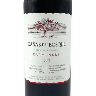 Casas del Bosque Carmenere