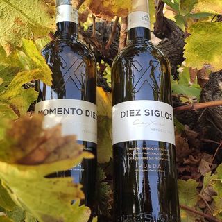 DIEZ SIGLOS VERDEJO