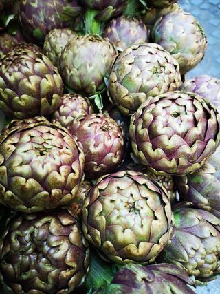 Carciofi romaneschi 