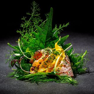 Sashimi salmon flambé 4 pezzi