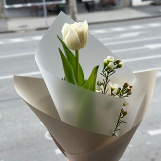 7 მინი თაიგული