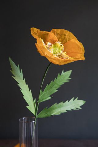 Amapola Amarilla De Papel