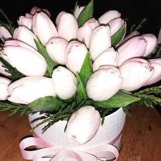 Caja Circular Con Tulipanes