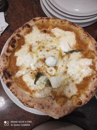 Margherita in giallo