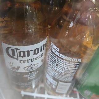 Coronita cervesa