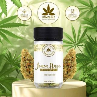 Flor CBD Lemon Haze 12g Hempline