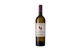 Falanghina 750ml