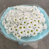 XL Букет з хризантем (ромашок)