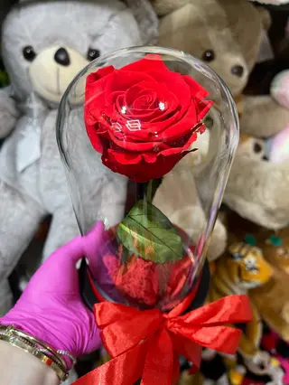 Crio Red Rose