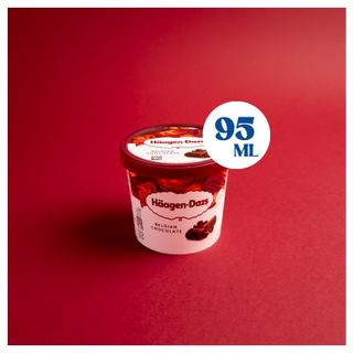 Haagen-Dazs Chocolate 95ml