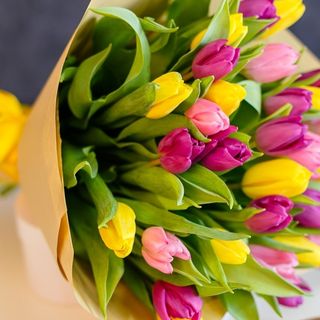 Buchet din 29 lalele multicolore galben-roz-mov