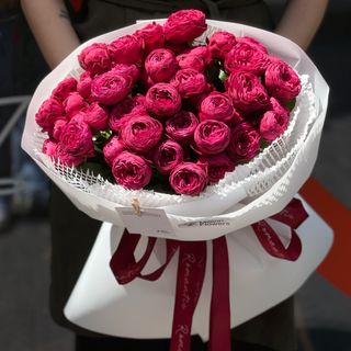 15 гілок Чері Трендсеттер 