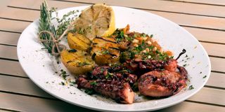 Caracatiţa la grill