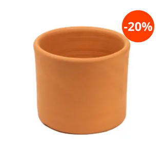 Colvin Little Monica