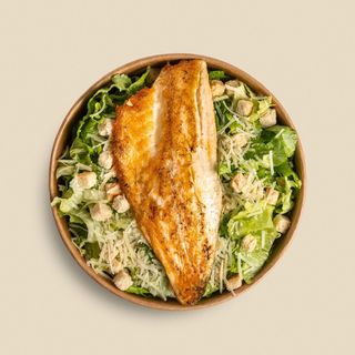 Цезар с Филе от Лаврак