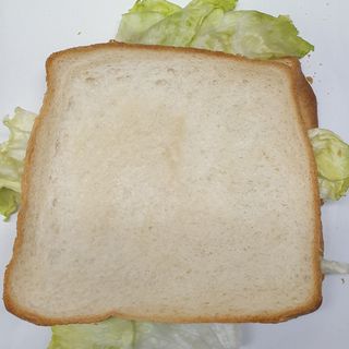 TOAST COTTO FORMAGGIO INSALATA