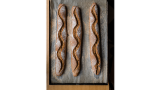 Bagietka ze słodem jęczmiennym