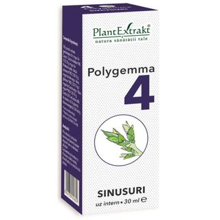 Polygemma nr. 4 - Sinusuri