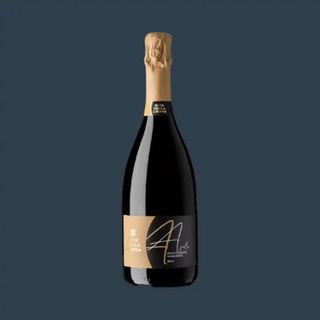 Asolo Prosecco Superiore DOCG Brut, Tiziano Line