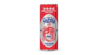 Hidra UP Orange 0,33 l
