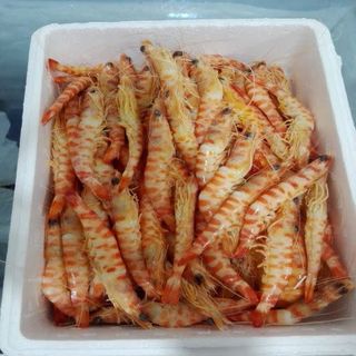 Gambón Plancha (Ración)