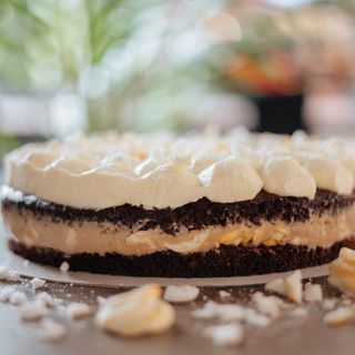 TORCIK ALPEJSKI (KETO)