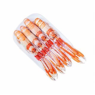 Cigala tronco plancha/cocida