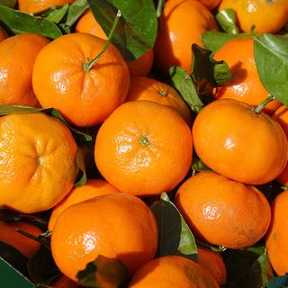 Mandarina  1kg