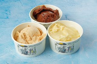 Protein sladoled 1kg