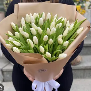 White tulips