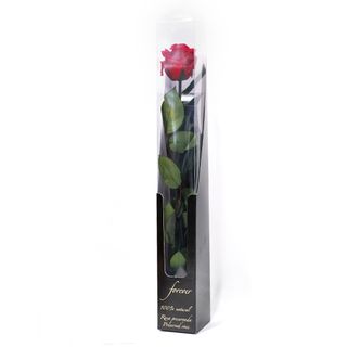 Rosa Eterna preservada love