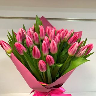 Bukiet Różowych tulipanów
