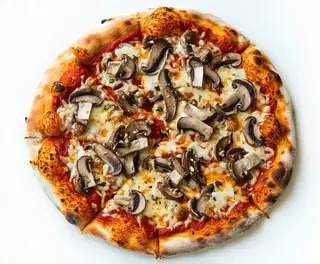 Tonda Porcini
