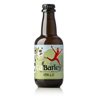 Birra BIO -  IPA da 33CL
