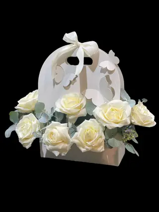 Butterfly Box