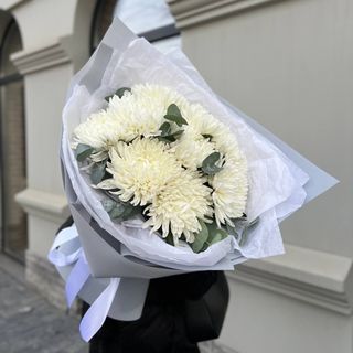 9 білих однобутонних хризантем+евкаліпт в упакуванні  кафін №54