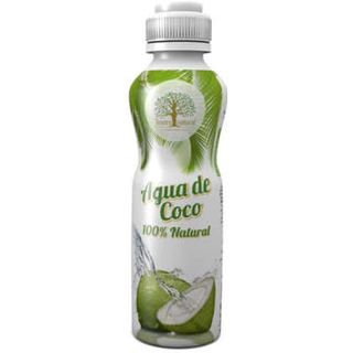 Agua De Coco Tesoro Natural 500 Ml