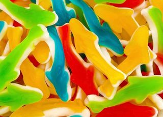 Shark gummies 100g