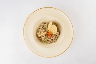 Risotto s biftekom i kozjim sirom