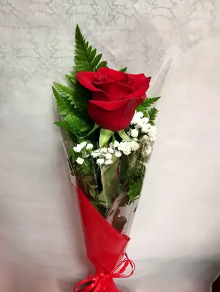 1 Rosa Roja