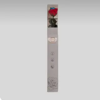 Rosas Preservadas Eternas