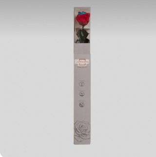 Rosas Preservadas Eternas
