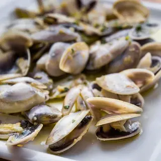 Coquinas