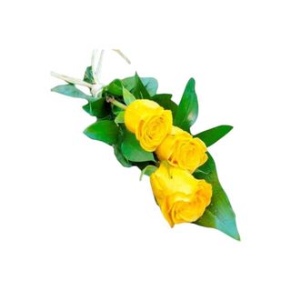 3 Rosas Amarelas