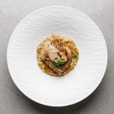 Pulpa de rata cu telina si foie-gras