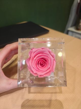 Flower Cube