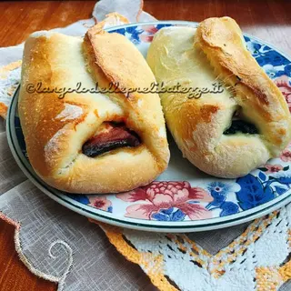 Cipollina