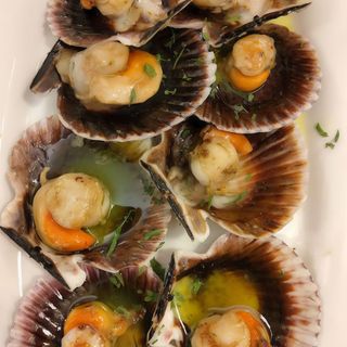 Vieiras del Pacifico