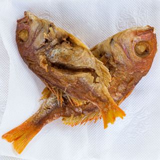 Fish Plain