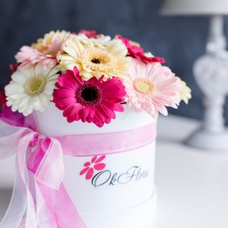 Cutie Mică cu Gherbere Mix Roz